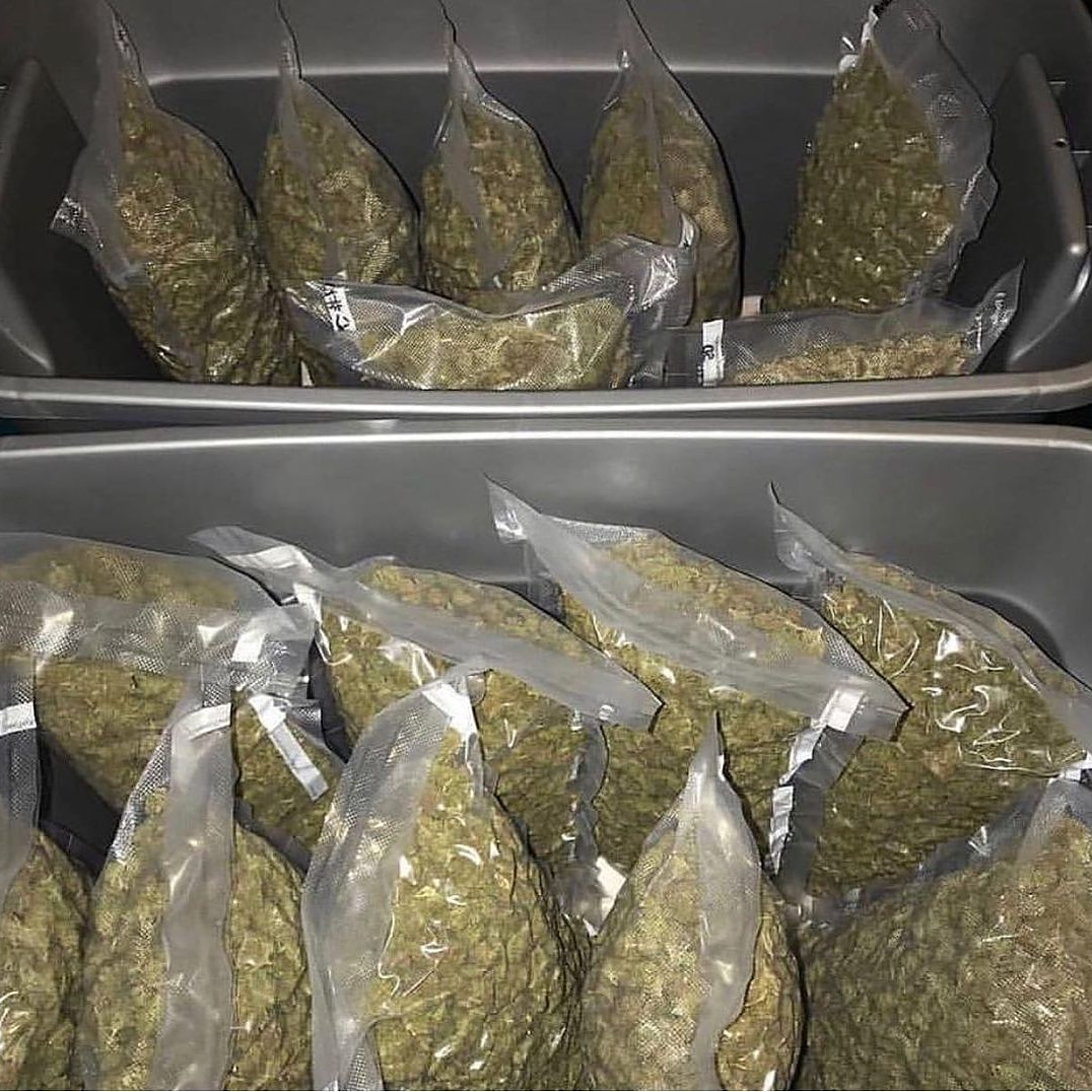 Kushplug14 tweet picture