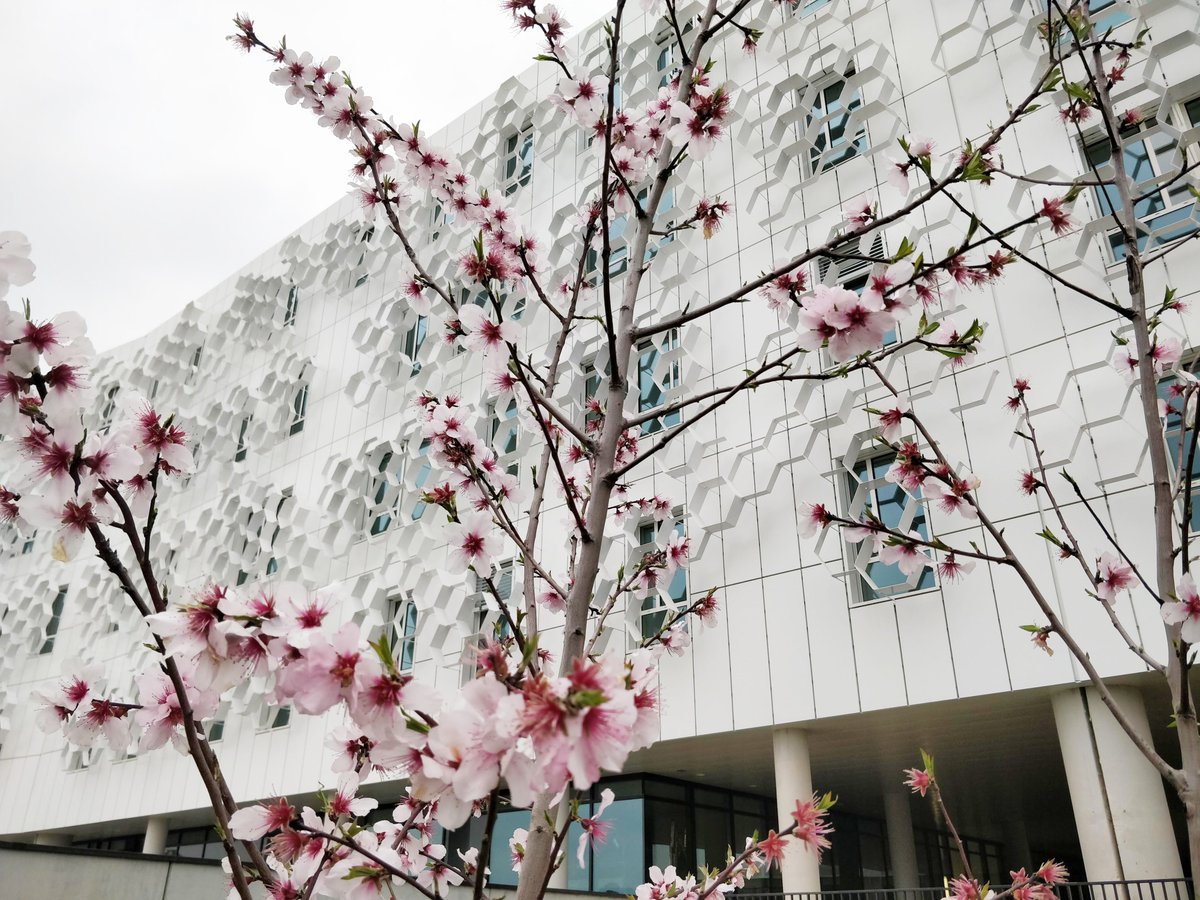 FPaysage's tweet photo. Pôle chimie Balard à Montpellier – CNRS
C’est le printemps à Montpellier (et bientôt la fin du chantier😎) !!
Reichen et Robert et Associés, Architectes
Oteis, Bureau d’étude et économiste
AtFP, Maîtrise d'œuvre des espaces extérieurs https://t.co/nXGb2OggzJ