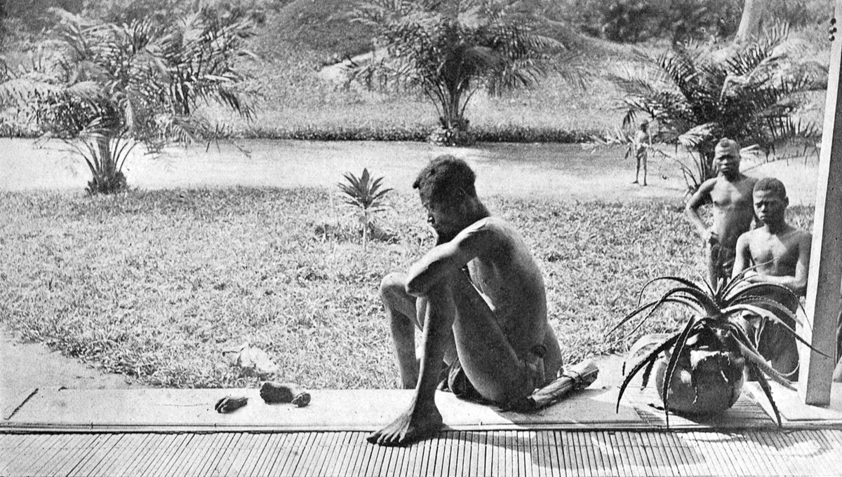 ConnaisAfrique's tweet photo. Un congolais nommé Nsala regarde un pied coupé et une main coupée de sa fille de cinq ans Boali, par les gardes Belges dans l’État libre du Congo sous le roi Léopold II de Belgique, parce qu'il n'a pas pu atteindre son quota quotidien de caoutchouc!

#connaisafrique
#Afrique https://t.co/DbVe42KZyN