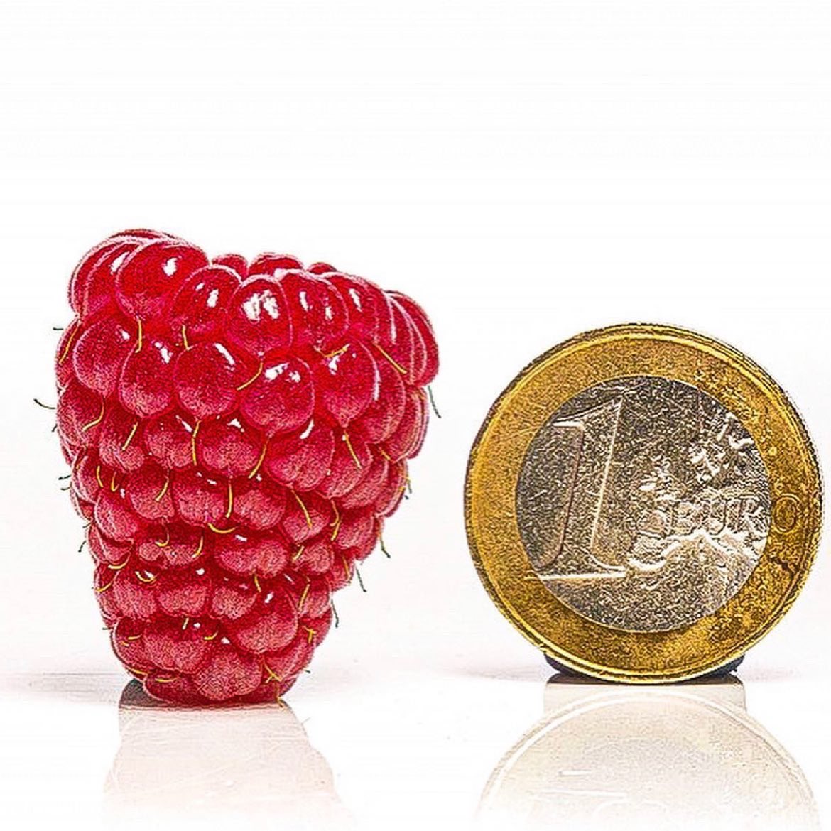 globalplantgen's tweet photo. Skye - a double cropping variety, producing consistent high quality fruit with high yield potential in both crops.
The combination of high yield and the ease of pick can contribute to reducing picking costs.
#love #for #raspberries #midlate #primocane #fruit #quality https://t.co/iuvrg1qjVP
