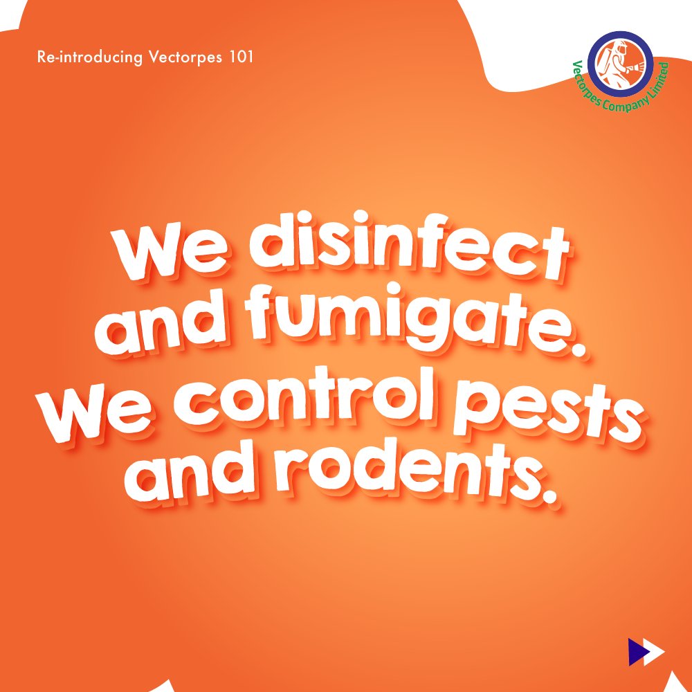 Vectorpes Company Limited tweet media