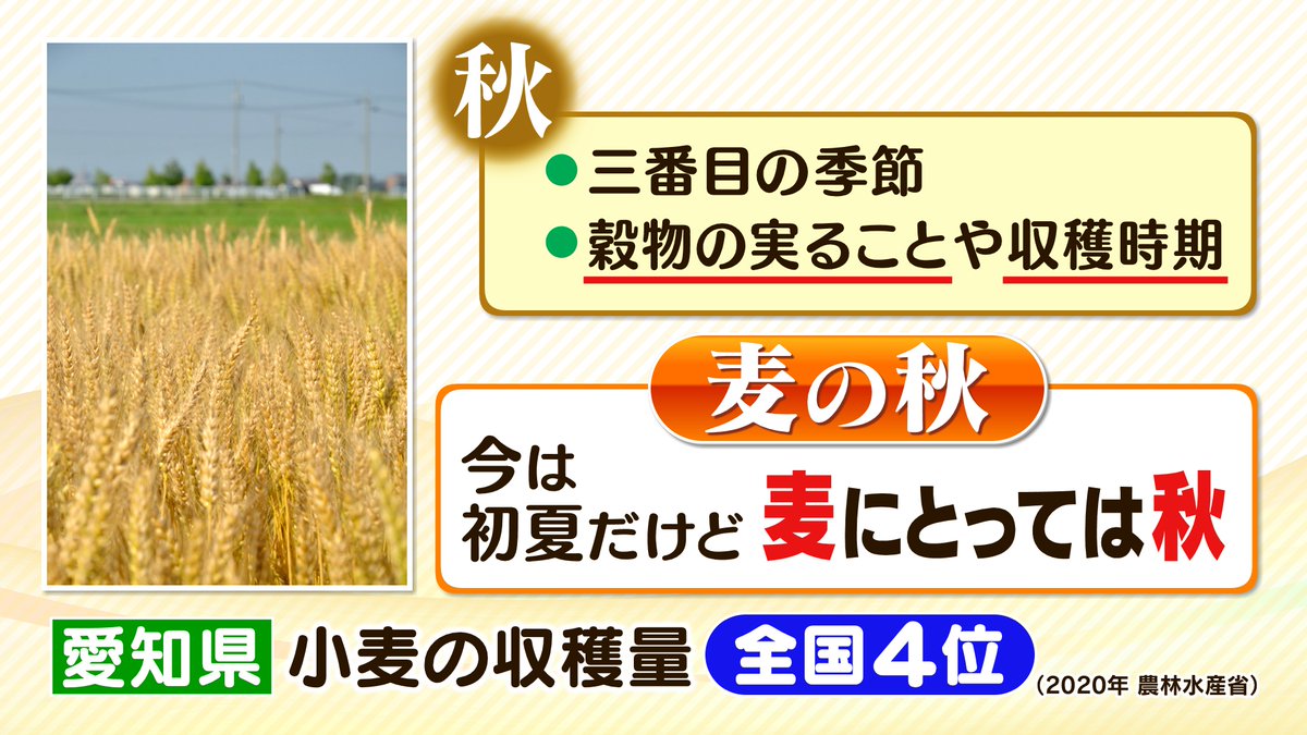 あいちの農業応援団 Aichinougyoouen Twitter