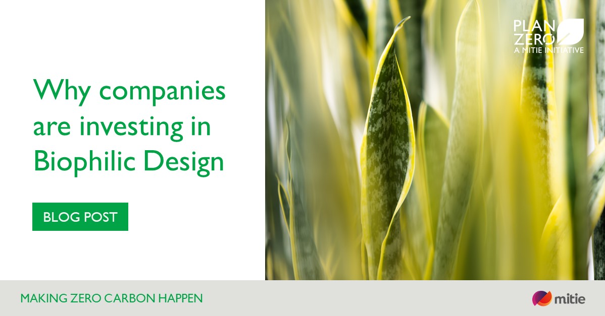Biophilic design is a concept used within the building industry to increase occupant connectivity to the natural environment through the use of direct nature, indirect nature, and space and place conditions. 

Read our article >  wearemit.ie/i7LP50EUyiX

#NoMowMay #Biodiversity