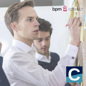 BPMConsult tweet media