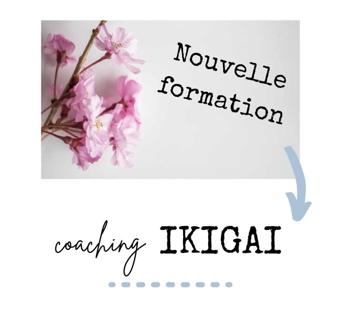 Comment aider une personne à trouver son Ikigai avec notre formation en ligne "Coaching Ikigai". 
240 euros sans accompagnement et sans prise en charge possible 
zenproformation.com/foad-ikigai
450 euros avec accompagnement personnalisé et prise en charge possible
zenproformation.com/foad-pro-ikigai