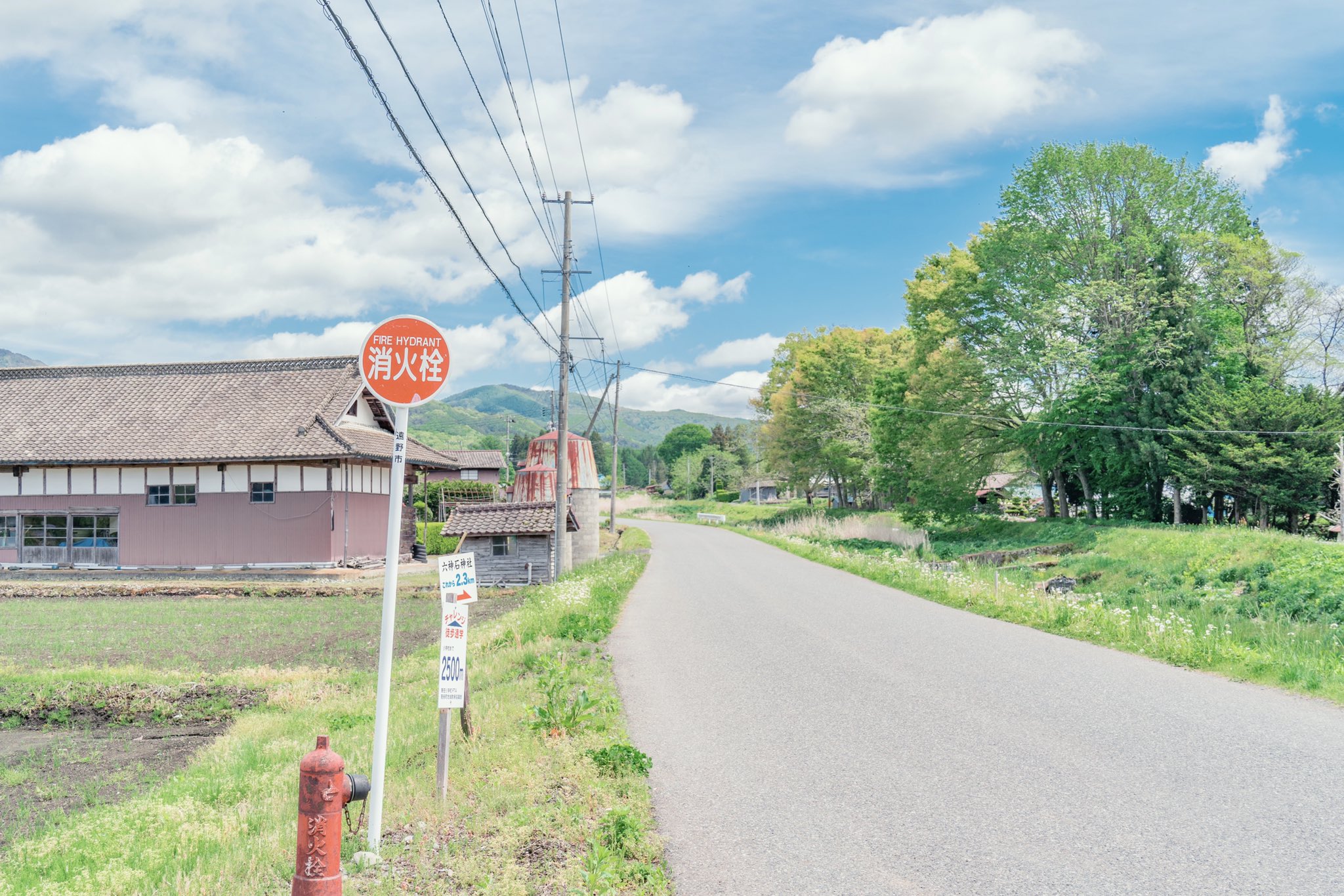 三谷ユカリ Fanbox 理解してもらえるか分かりませんが 夏の田舎って本当に切ないんです T Co Ki3otk1430 Twitter