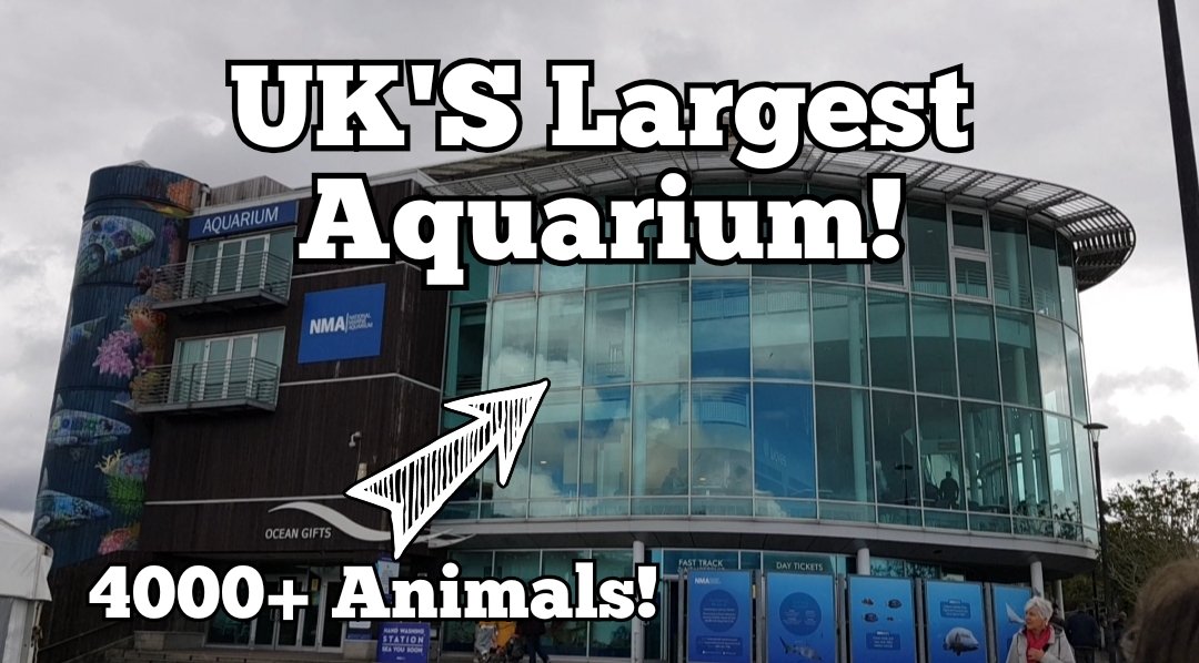 A tour of the UK's largest aquarium, @NMAPlymouth is now up on my YouTube channel, go watch!

youtu.be/jXFqS71_qVc

#nationalmarineaquarium #NMAPlymouth #aquarium #marinebiology #marinelife #marineconservation #ocean #fish