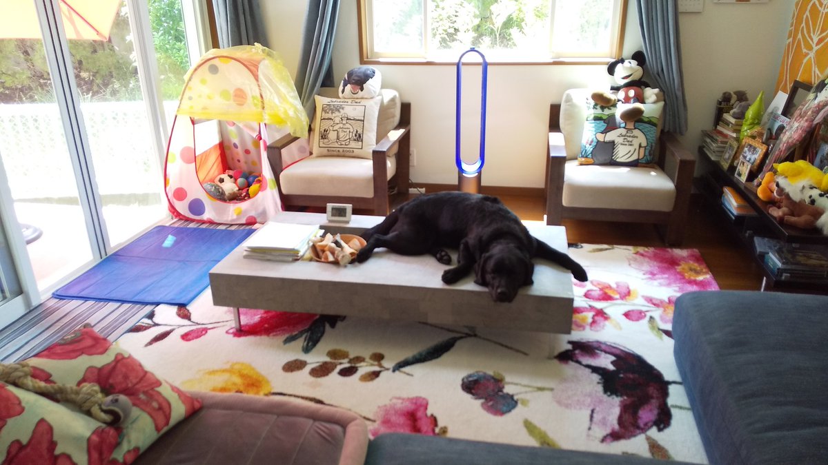 マツモトザリミ わんこ リビングの石のテーブル 新築時 僕が唯一選んだ家具 他は却下 まさかこんな使い方になるなんて 接触冷感 夏季限定 Hukla Youtube 犬部 犬好き Youtuber 犬のいる生活 うちの犬を見てくれ 大型犬 中型犬 小型