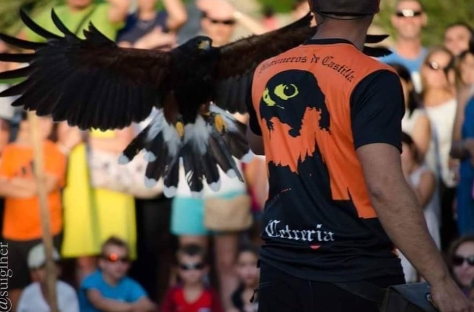 ÚLTIMA PLAZA!!!!!!!!
No te quedes sin ella, tenemos la última plaza disponible para el curso de cetrería que vamos a realizar este fin de semana 29 y 30 de mayo.
Consulta información en nuestro correo electrónico halconerosdecastilla@gmail.com
Una experiencia inolvidable.