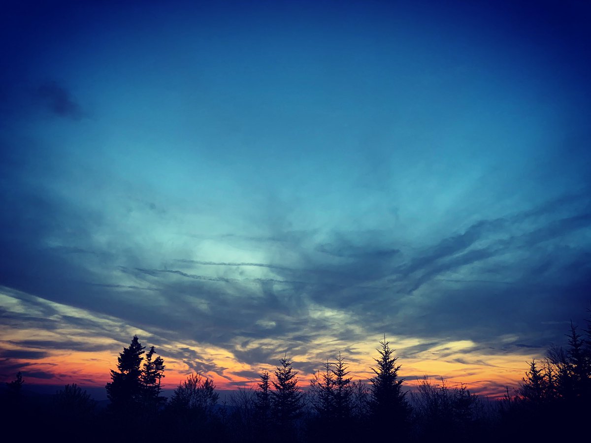 Heather C. Hviding tweet media