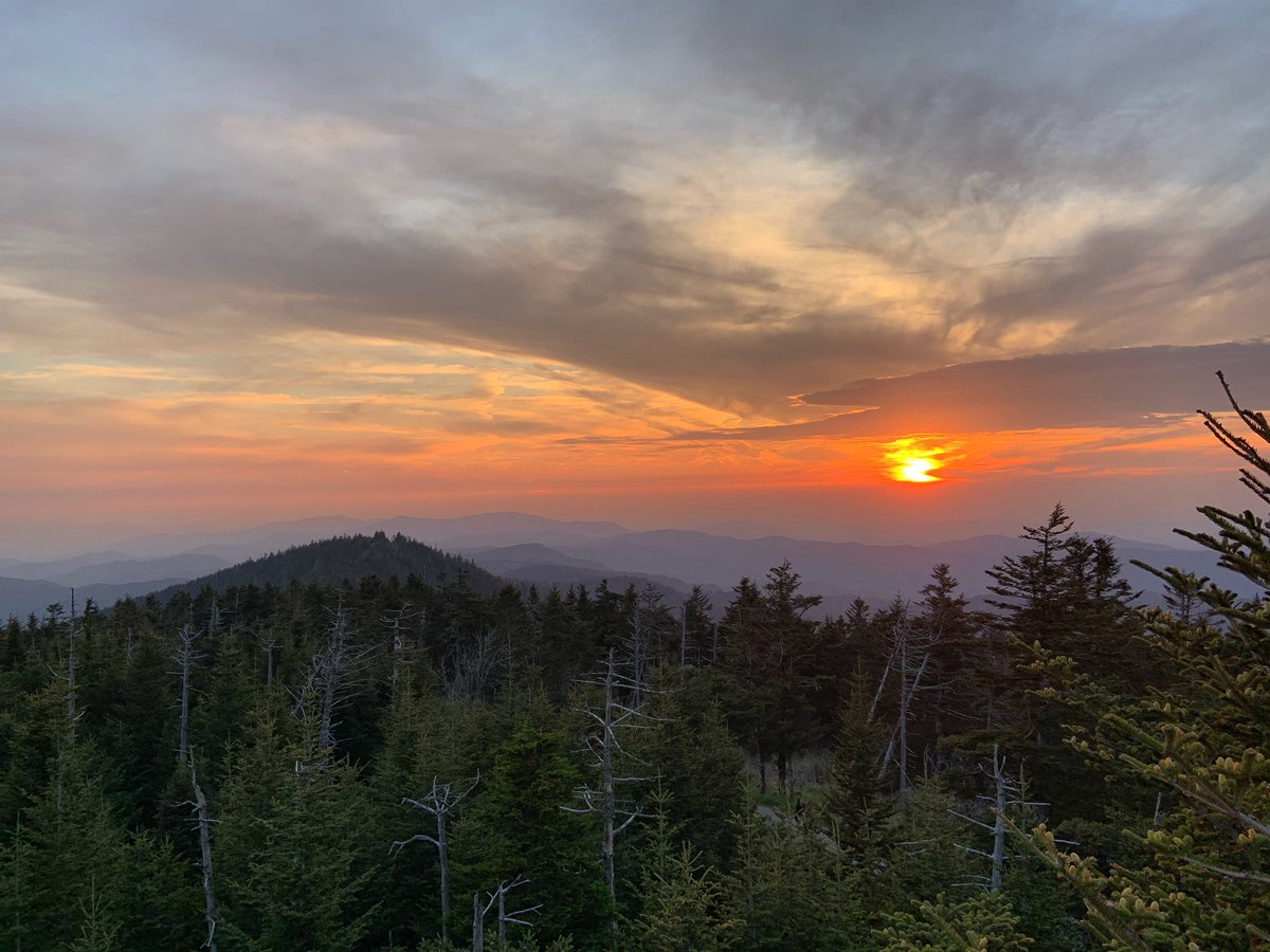 Heather C. Hviding tweet media