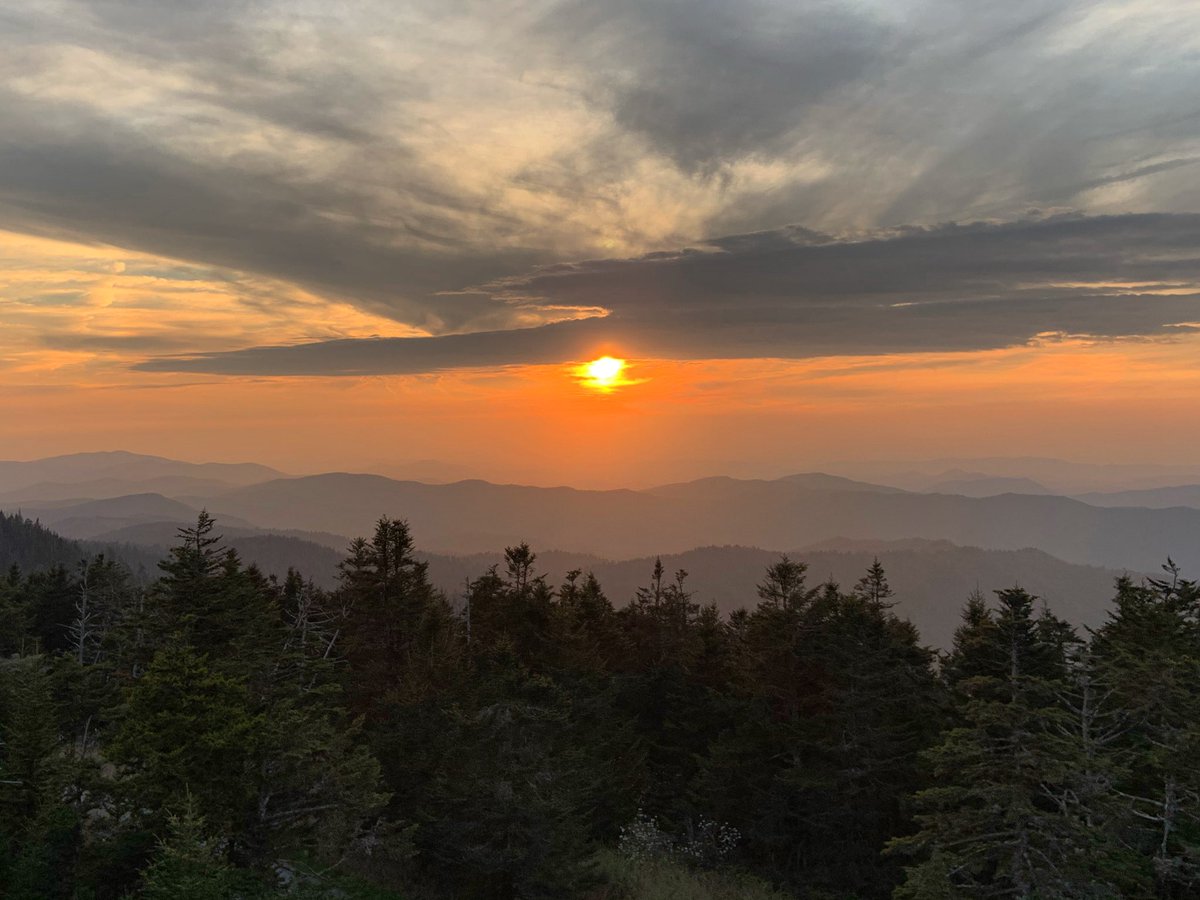 Heather C. Hviding tweet media