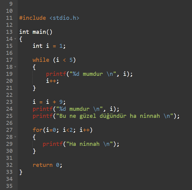 Size mutluluğun resmini çizemem ama bir türkünün kodlarını yazabilirim.