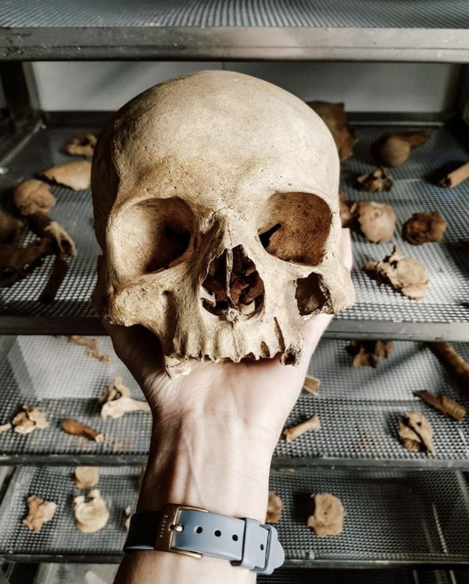 bonesforensic's tweet image. 