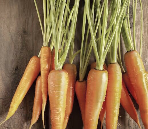 magiliwnaisda's tweet photo. gamiiii mukha kang carrot😭🥕💚

A4 ALAMATSANDIGAN
#A6AcrosticNiTaneo
#ALAMAT @Official_ALAMAT https://t.co/f1eDHk7i53