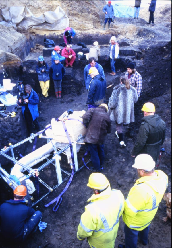 Cromer Museum tweet media