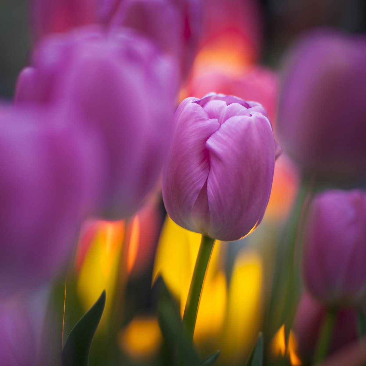 Beauty is being the best possible version of yourself on the inside and out!