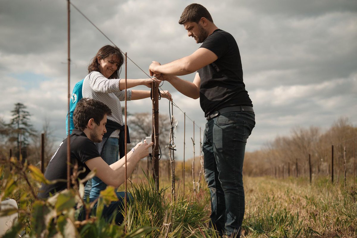 📻Dans le cadre de l'accompagnement de la #cooperative <a href="/VigneronsBuzet/">Vignerons de Buzet</a> par <a href="/agrosolutions/">Agrosolutions 🔍 💧 🌾 🤝</a> et <a href="/Fermes_LEADER/">Fermes LEADER 📲🌾🌳🍇🐮💻💡👨🏼‍🌾</a>, filiales du Groupe #InVivo, rendez-vous demain à 7h29 sur <a href="/radioclassique/">Radio Classique</a> avec <a href="/AdrienThuret/">Adrien Thuret</a> et <a href="/FabriceLundy/">𝗙𝗮𝗯𝗿𝗶𝗰𝗲 𝗟𝘂𝗻𝗱𝘆 🎗️</a> pour tout savoir du #vignoble "New Age"🍷