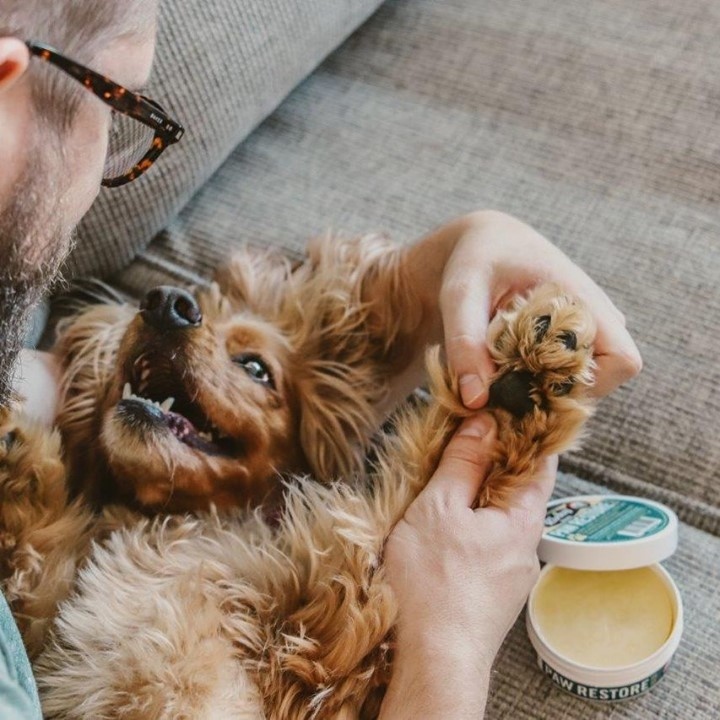 This all natural, non-toxic balm restores dry, cracked or rough paw pads keeping them healthy, supple and irritation-free. The addition of Buchu helps to reduce inflammation while the special blend of natural waxes and oils promote skin elasticity with regular use.⠀