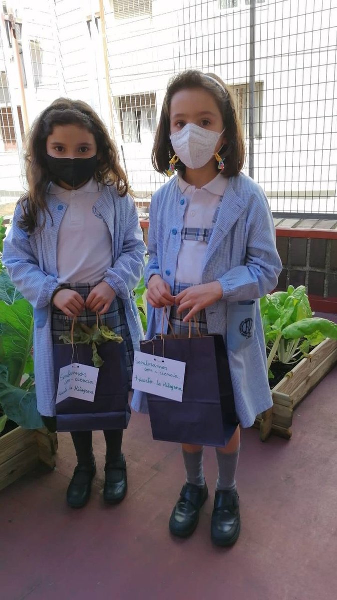 MilagrosaOviedo's tweet photo. Hemos recogido la primera cosecha de nuestro huerto y algunos alumnos se han podido llevar a casa las lechugas. ¡Qué ilusión! SIEMBRA CON-CIENCIA

#huertoescolar #huertoecológico #colemila #colegioslamilagrosaoviedo #colegioshhcc #escuelasvicencianas https://t.co/dBfTmS63nM