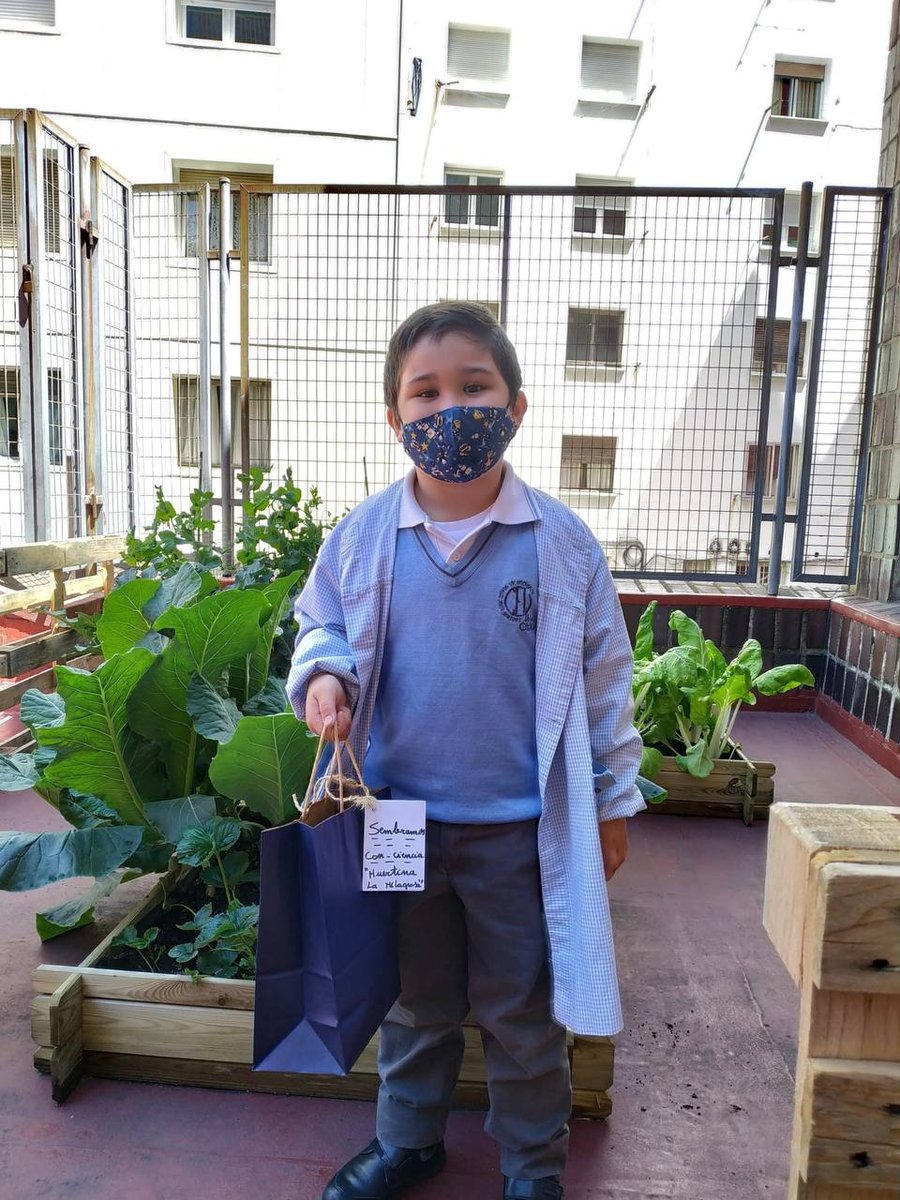 MilagrosaOviedo's tweet photo. Hemos recogido la primera cosecha de nuestro huerto y algunos alumnos se han podido llevar a casa las lechugas. ¡Qué ilusión! SIEMBRA CON-CIENCIA

#huertoescolar #huertoecológico #colemila #colegioslamilagrosaoviedo #colegioshhcc #escuelasvicencianas https://t.co/dBfTmS63nM