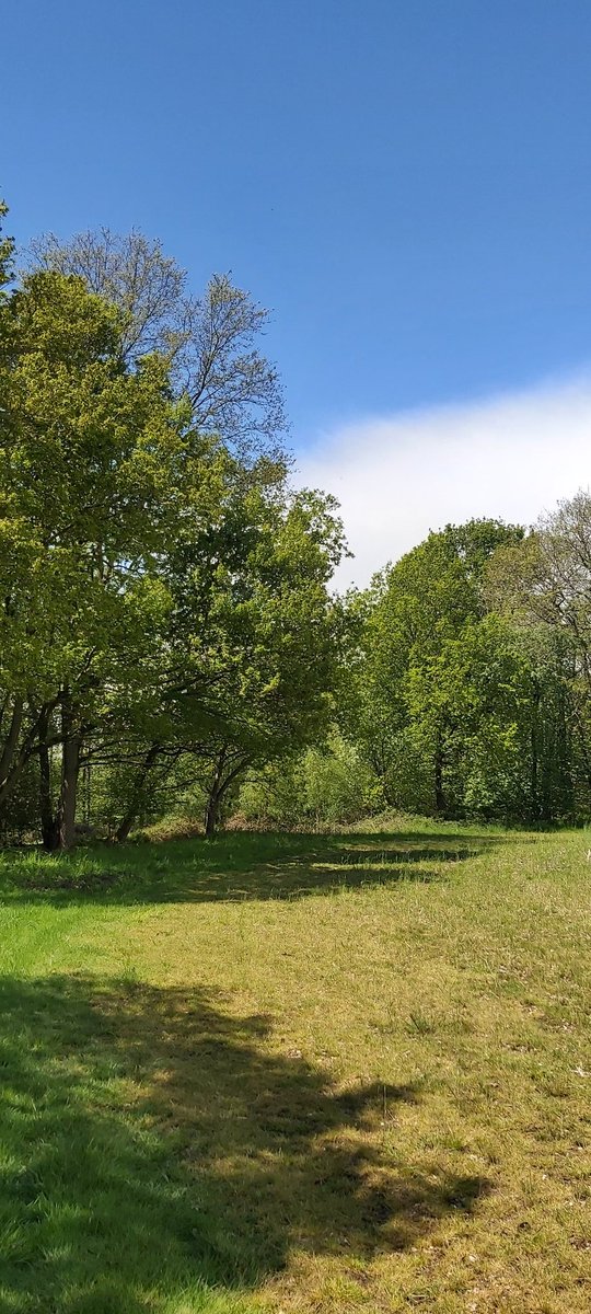 pinemar10s's tweet photo. Everyone who asks me why I wanted to move out of London..... these scenes are just unbeatable. So grateful i get to make home in the country's. https://t.co/kKjnAgLpNf