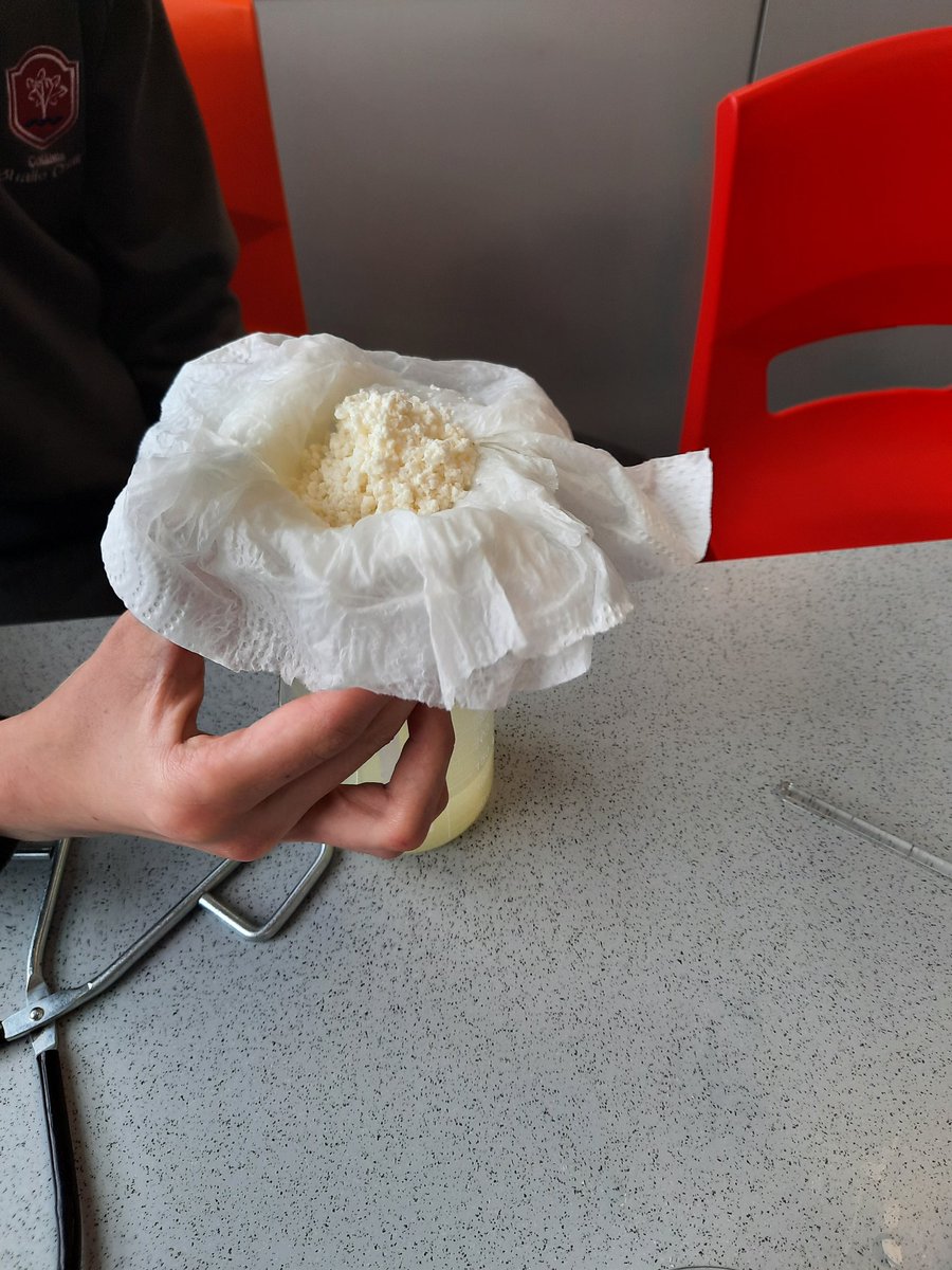 MsJCoyne's tweet photo. Decided to do something a little bit different in the lab with 1st year #Science for the last week of school #MakingCheese 🧀 😁 @ClaregalwayColl https://t.co/LU8S7qo8jd