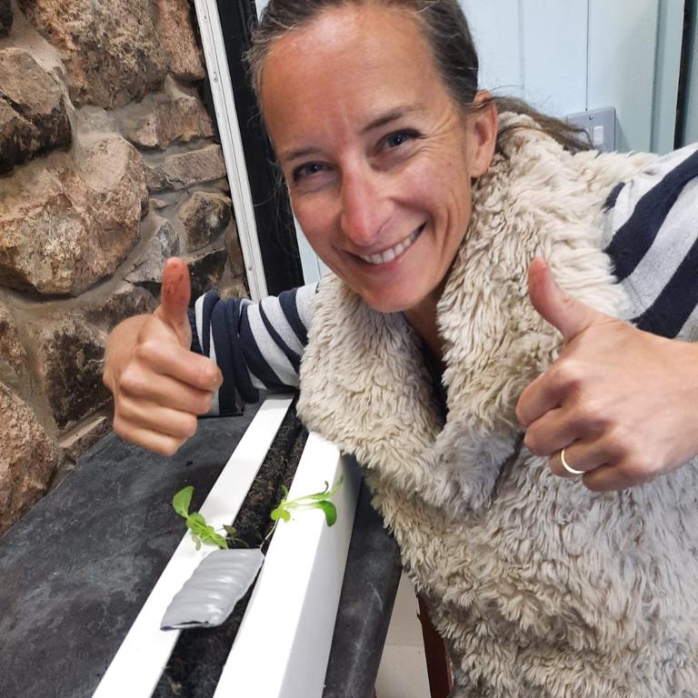 The staff and volunteers at the Greenmeadow Community Farm site have been planting the greens for the @FarmUrbanUK living wall. 🌱

#VerticalFarming #CEA #Wales #WelshProduce #GrowLocal #Growing #Agriculture #Sustainability #Innovation