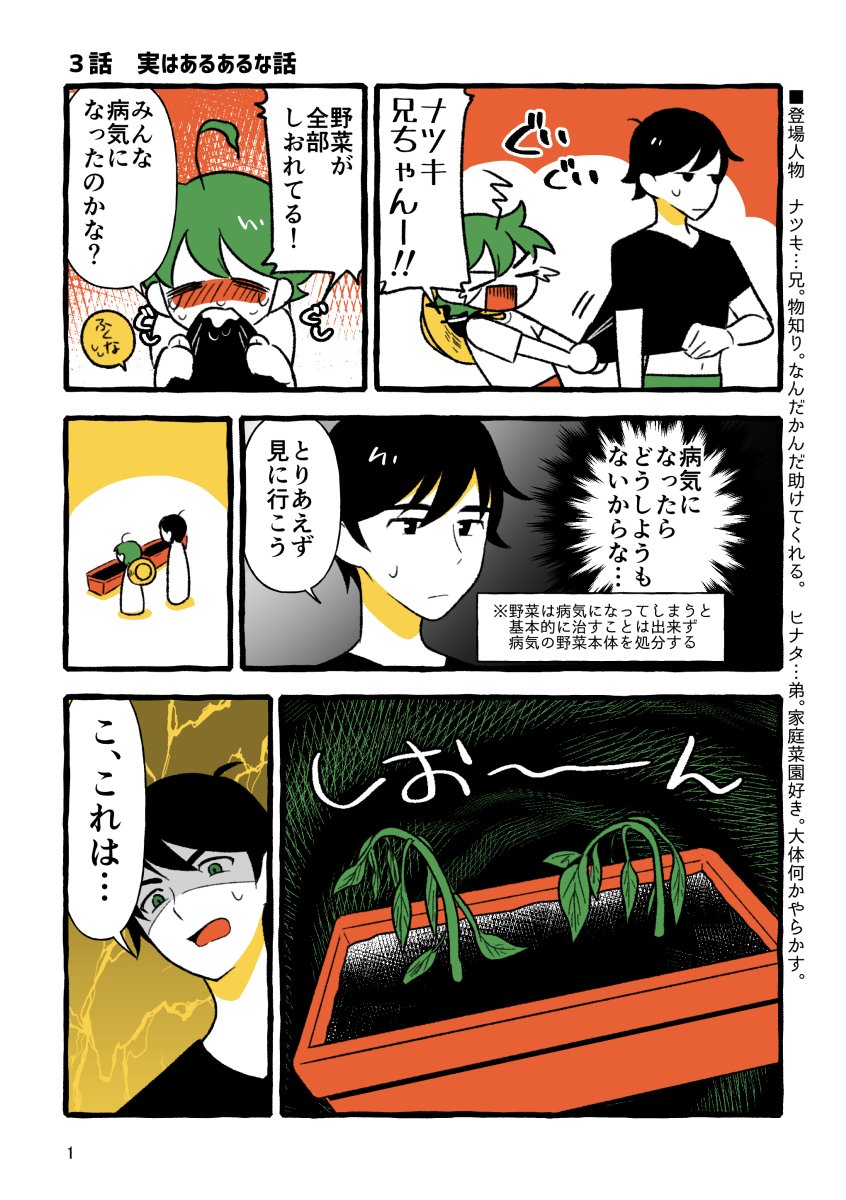 歳の離れた兄弟が家庭菜園する話③
実はあるあるな話 