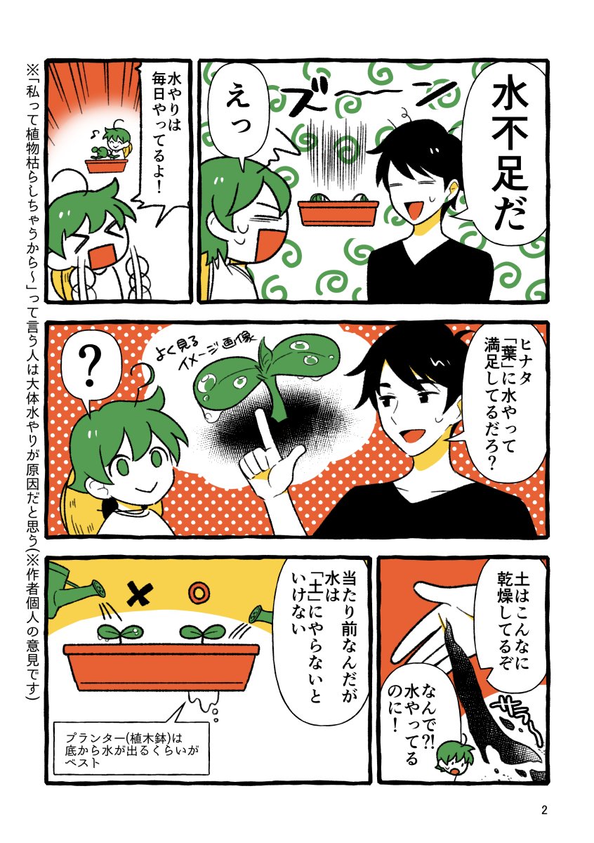 歳の離れた兄弟が家庭菜園する話③
実はあるあるな話 
