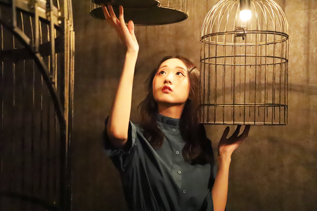 鳥かご 鳥かご