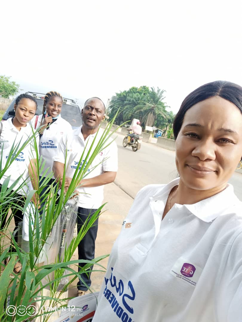 GlowInitiative's tweet photo. Our team Live in #Kwale town in Delta State.  Kwale is a community affected by OilSpillage. You can imagine the pain when farmers cannot get harvest after planting. You can imagine the suffering from not accessing clean water. This has caused serious environmental damages https://t.co/iDoGXSu9iv