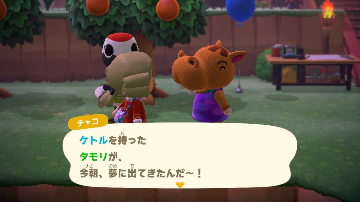 ししまるちくわ🐾 tweet media