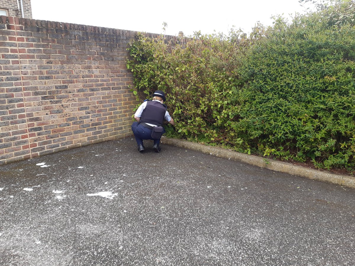 MPSCrayValleyE's tweet photo. #weaponssweep conducted in Rookery Gardens and Sholden Gardens area by PCSOs Hazel and Nicky @MPSOrpington #Communityimpactday https://t.co/r2Xjnhlfc7