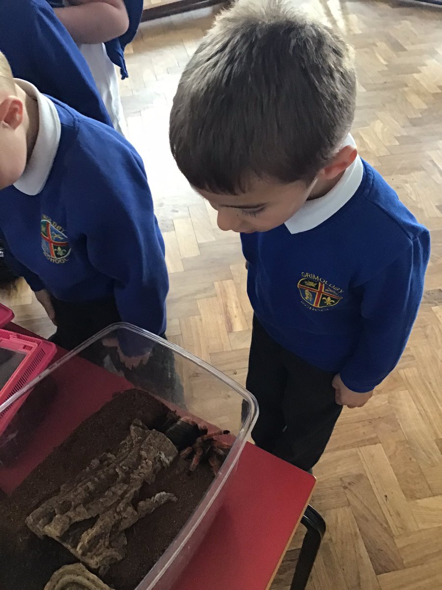 Grimoldby_Y4's tweet photo. A fantastic experience meeting minibeasts and Geoff the Snake 🐍 🕷 Lots of brave children who wanted to hold or stroke the animals! We loved every second 😁 thank you to Stuart at @MeetTheBeasts #happiness #inspiration #naturedetectives https://t.co/rSwoFTmoaw