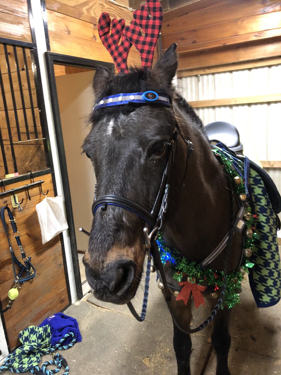 adrastuscomic's tweet photo. Hi, I miss this dumb pony and her dumb face https://t.co/9riNBJWFj7