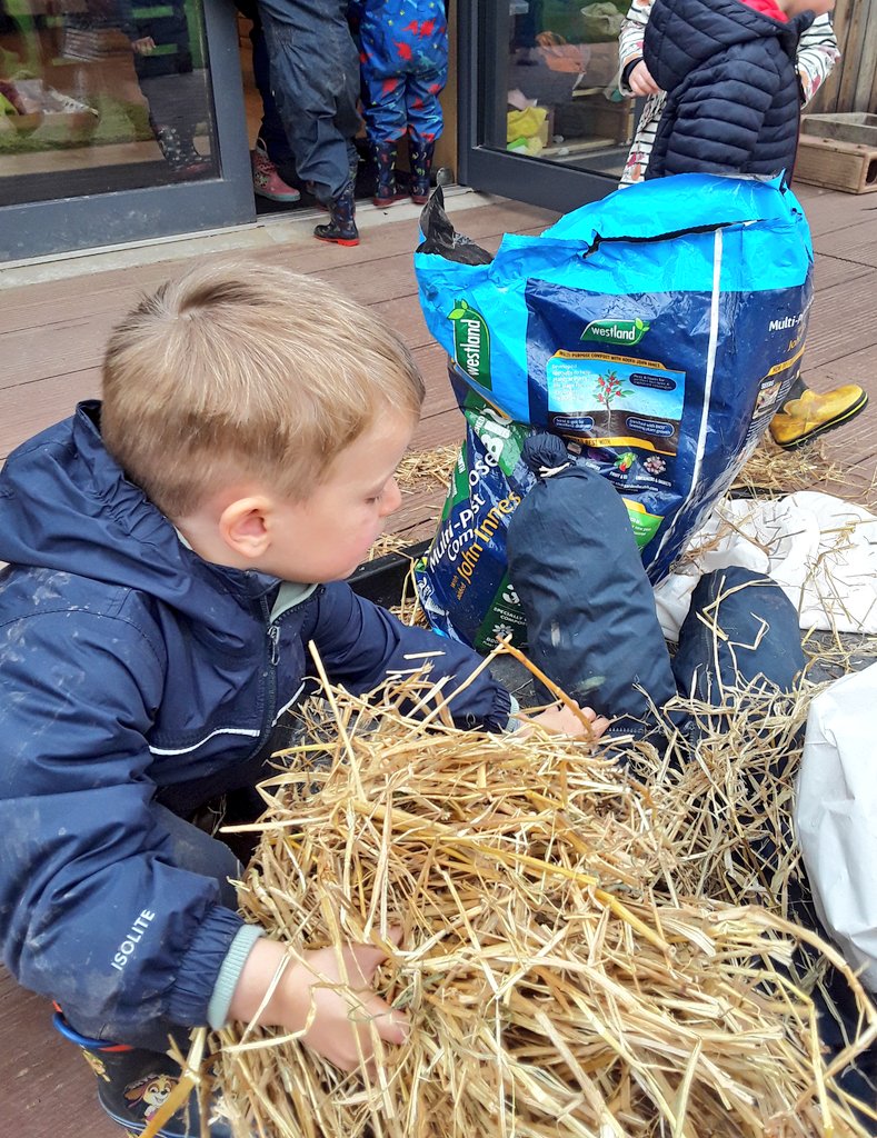 Ashbridge Nursery at Maxy Farm tweet media