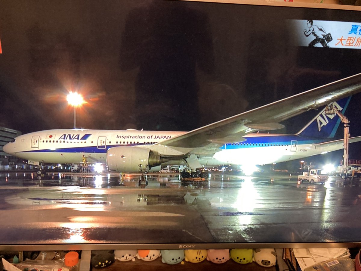 aki_aereo_34's tweet photo. サラメシ大スクープやん、、泣けてきた。

撮れなかったけど、後ろに旧政府専用機いて感動した

＃ja708A
＃サラメシ https://t.co/B7PDupxwms