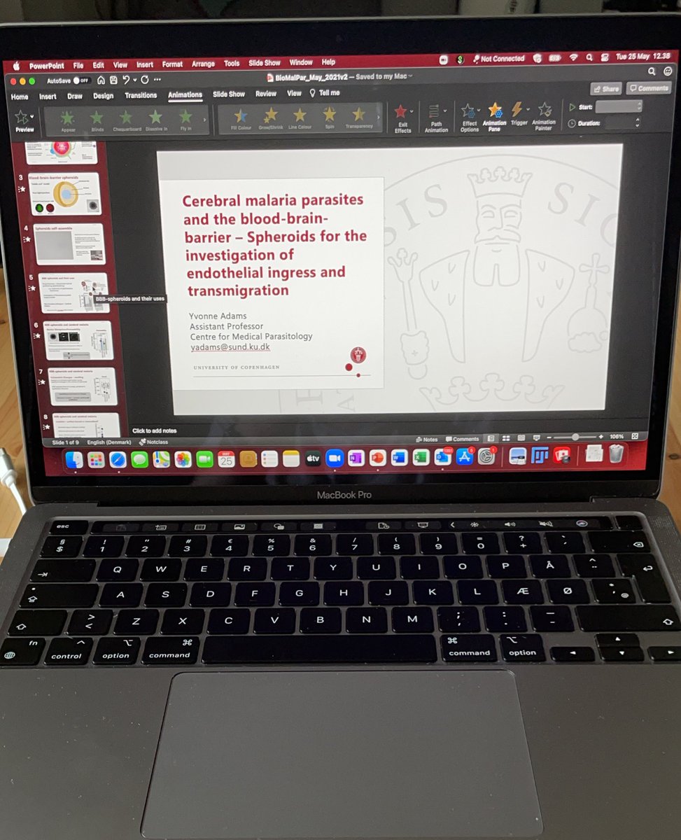 Missing being back in #heidelberg for the BioMalPar #EMBLMalaria meeting. But at least we can attend virtually. Got the talk ready to go #cerebralmalaria #malaria