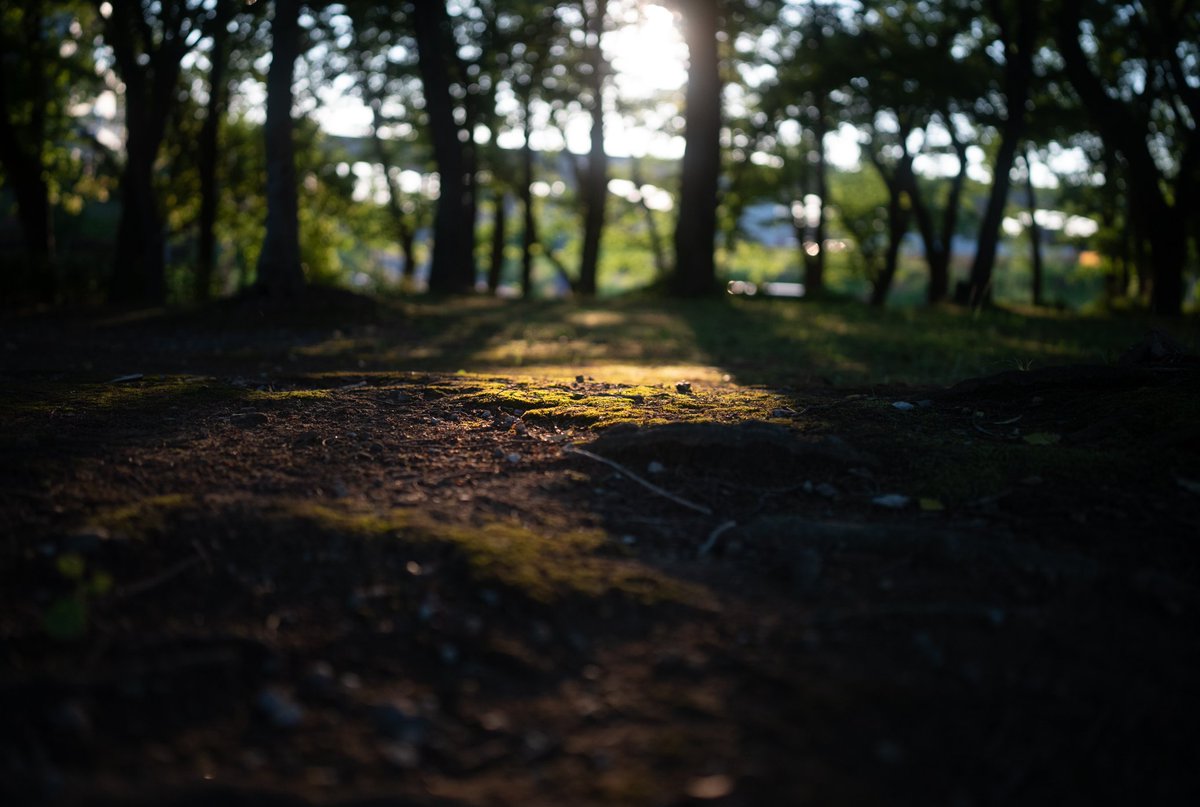 VlogZp's tweet photo. 35mm F1.4 GMでスナップ撮影。神レンズ更新します。 https://t.co/y9in3CuFJZ
