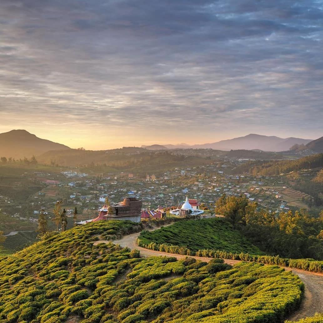ClassicSrilanka's tweet photo. The One Tree Hill

Not referring to the famous US TV series many of us enjoyed back in the day - but the beautiful Buddhist Temple located in Sri Lanka, a.k.a. the Single Tree Hill Buddhist Temple.

Photo Credits @pradeep_gamage

#TreeHillTemple #temple #travel #Buddhism #hills https://t.co/WetCZPQQKS