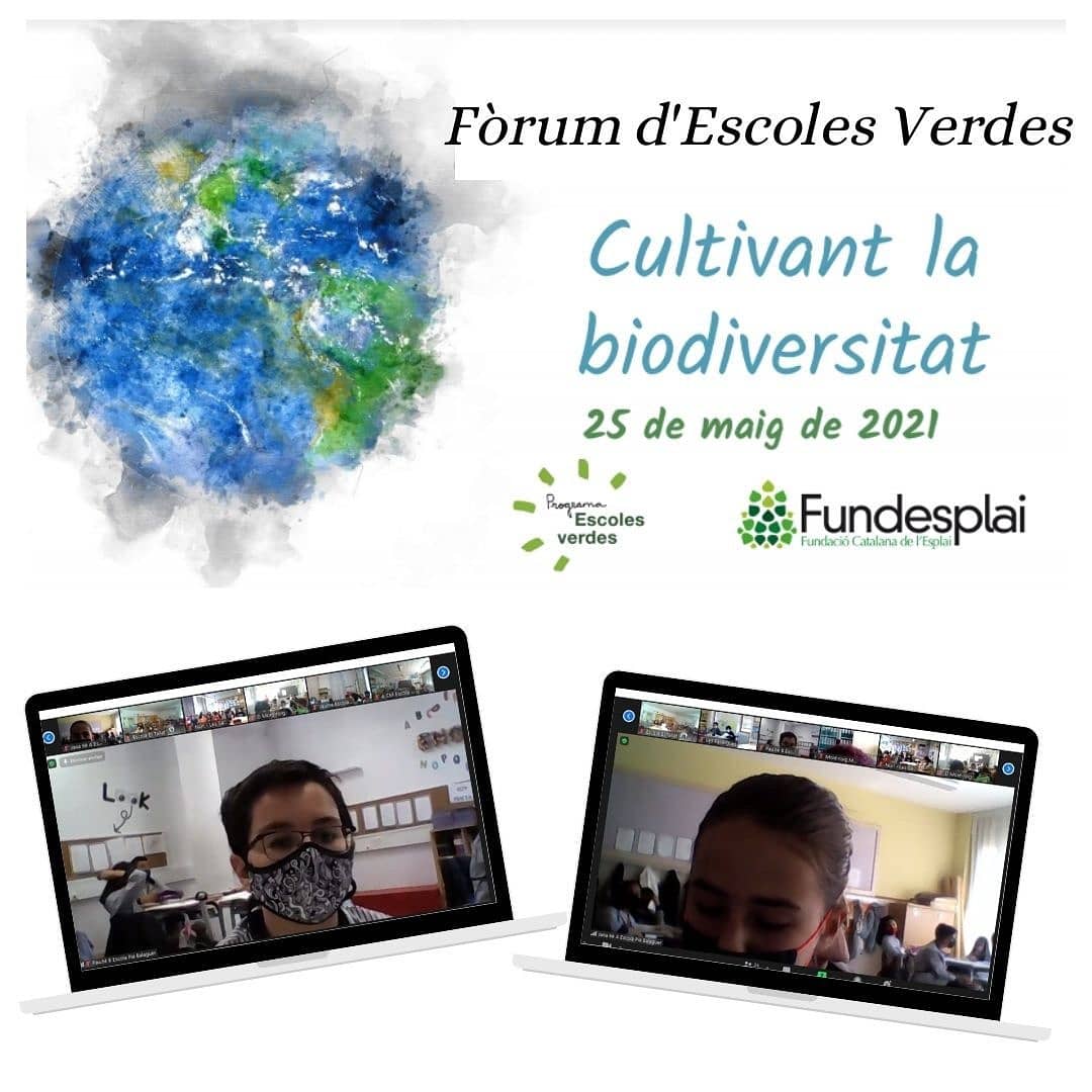 Avui els alumnes de 6è de primària han participat al Fòrum “Cultivant la biodiversitat”.
Ha estat una jornada entretinguda i hem reflexionat molt.
#escolaverda #fòrumprimària #escolapiabalaguer