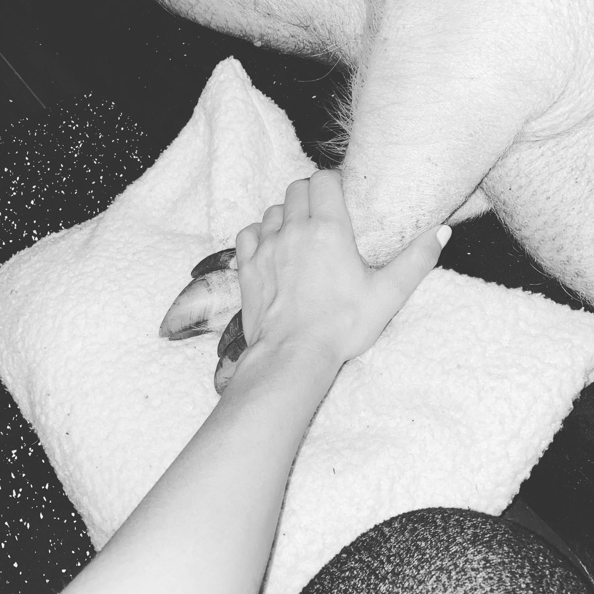 AlexaBliss_WWE's tweet photo. I will always love you Lear Bear 🖤 your life mattered. 🐽 https://t.co/lMCXEiDXXW