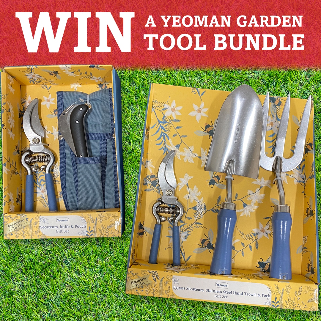 cherrylaneGC's tweet image. 😍 GIVEAWAY! 😍

Get yourself some Yeoman garden tools perfect for getting your garden summer ready!

RT this tweet and follow us on Twitter!

England and Ireland only.

The winner will be chosen (1/6/21)

#giveaway #competition #contest #win #winner #prize #prizes #entertowin
