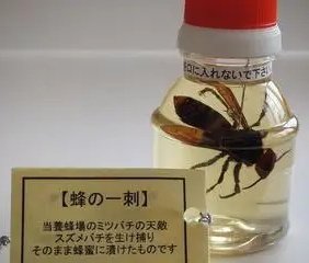 榎本三恵子 榎本三恵子