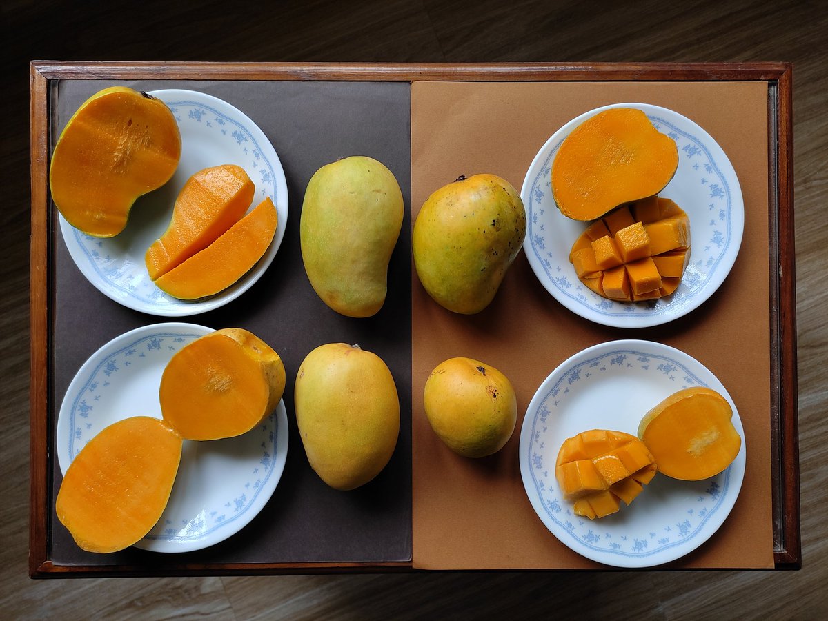 Krishivarada's tweet image. Fruit characters like size, shape, colour (also taste &amp;amp; flavour) are useful for identification of different varieties of mango. 
#mangovarieties #agridiversity #mangocultivars #cropdiversity #monoculture