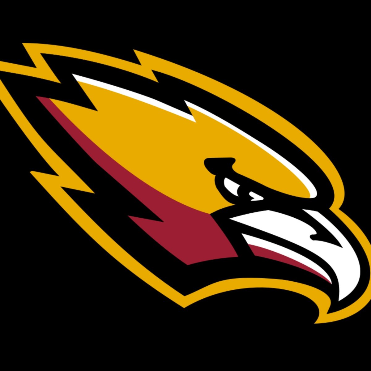 Baltimore Hawks tweet media