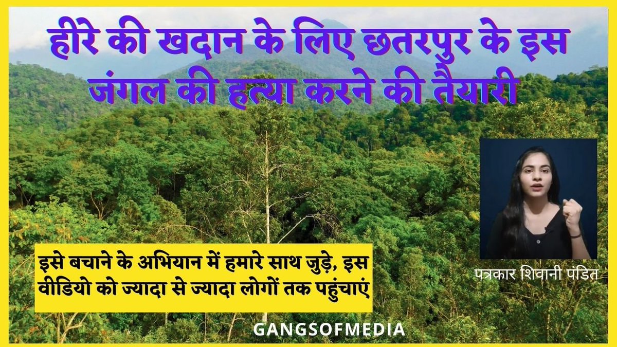 gangsofmedia's tweet photo. मध्यप्रदेश के छतरपुर में हीरो की खान के लिए प्राण दायक पेड़ों को काटने की तैयारी शुरू हो गई हैं।देशभर में इसका विरोध हो रहा है।क्या है पूरा मामला जानिए@Shivani20597601/@shivamkarma3 की इस रिपोर्ट में।
#Gangsofmedia @ChouhanShivraj @OfficeOfKNath
@PMOIndia
https://t.co/grbt8b8no7 https://t.co/Ofx9CBP9Gn