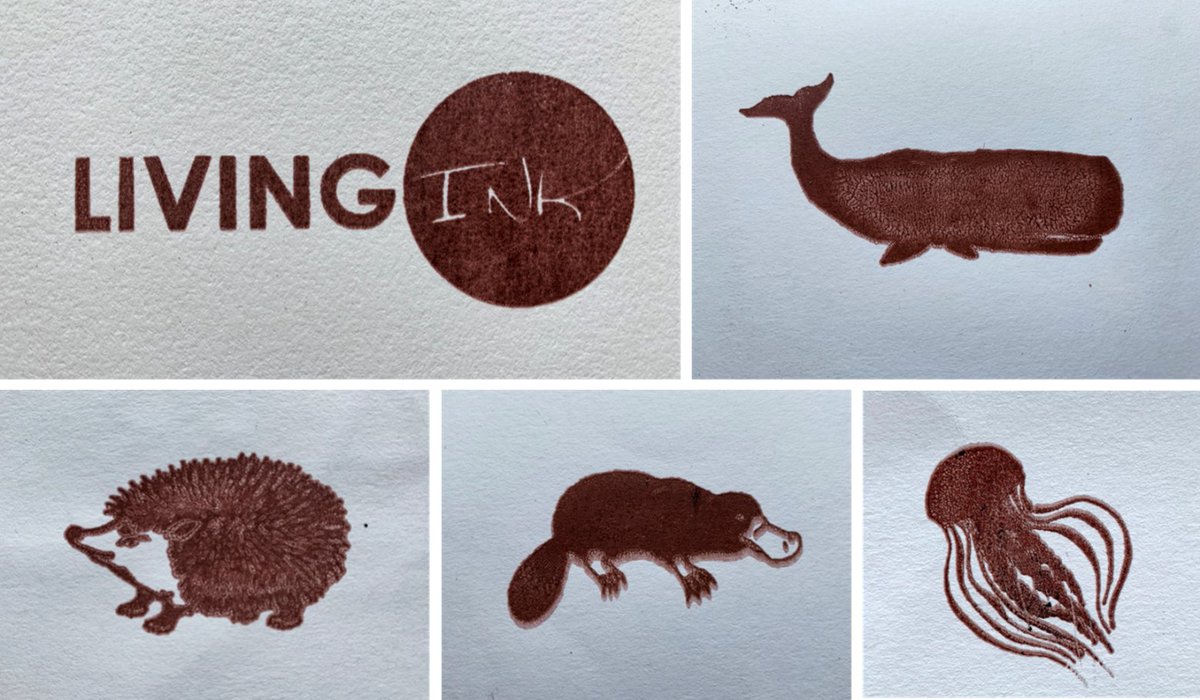Beautiful screen prints from algal cells and pigments developed with our <a href="/Algae_UK/">Algae-UK</a> project with @samsoceannews <a href="/scienceisnotfun/">Dr Matt Davey</a> and @livinginktech #sustainablebioeconomy #naturalworldsolutions #netzero #algaeink #biomaterial
algae-uk.org.uk/projects/susta…