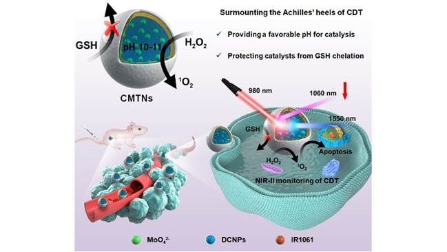 Angewandte Chemie (@angew_chem) on Twitter photo Singlet Oxygen Generation in Dark-Hypoxia by Catalytic Microenvironment-Tailored Nanoreactors for NIR-II Fluorescence-Monitored Chemodynamic Therapy (Chen) <a href="/Fuzhou_Uni/">福州大学 Fuzhou University</a> <a href="/NUSMedicine/">Yong Loo Lin School of Medicine</a> onlinelibrary.wiley.com/doi/10.1002/an… Singlet Oxygen Generation in Dark-Hypoxia by Catalytic Microenvironment-Tailored Nanoreactors for NIR-II Fluorescence-Monitored Chemodynamic Therapy (Chen) <a href="/Fuzhou_Uni/">福州大学 Fuzhou University</a> <a href="/NUSMedicine/">Yong Loo Lin School of Medicine</a> onlinelibrary.wiley.com/doi/10.1002/an…
